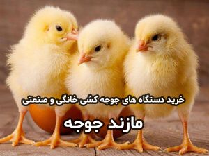 خرید دستگاه جوجه کشی ارزان